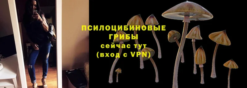 ОМГ ОМГ рабочий сайт  наркошоп  Бобров  Галлюциногенные грибы Magic Shrooms 